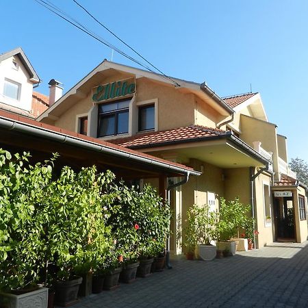 Guesthouse Ellite Pozarevac Ngoại thất bức ảnh